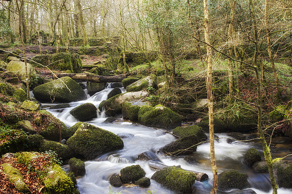 Kennall Vale