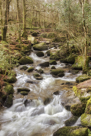 Kennall Vale