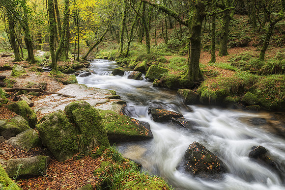 The Golitha Falls, Cornwall