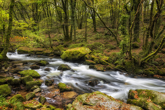 The Golitha Falls, Cornwall