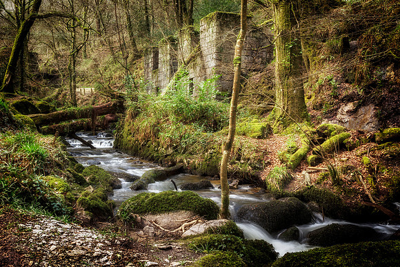 Kennall Vale